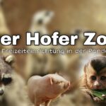 „Wir waren schon wahnsinnig enttäuscht, als wir den Zoo wieder schließen mussten“- das Interview mit der Hofer Zooleiterin Sandra Dollhäupl